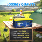 LOSSIGY 48V Lithium Golf Cart Battery with 18A Lithium Charger, 48 Volt 100Ah LiFePO4 Battery, Built in 200A Bluetooth BMS & LCD 10.24kW Output, Peak Current 1000A(3 - 5s), Prefect for RV Solar System - Speed of Light Hobbies