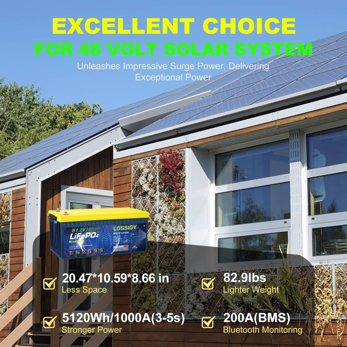 LOSSIGY 48V Lithium Golf Cart Battery with 18A Lithium Charger, 48 Volt 100Ah LiFePO4 Battery, Built in 200A Bluetooth BMS & LCD 10.24kW Output, Peak Current 1000A(3 - 5s), Prefect for RV Solar System - Speed of Light Hobbies