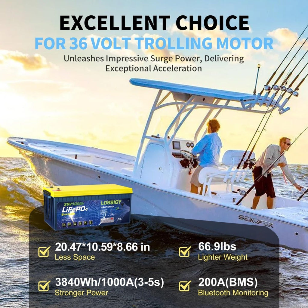 LOSSIGY 48V Lithium Golf Cart Battery with 18A Lithium Charger, 48 Volt 100Ah LiFePO4 Battery, Built in 200A Bluetooth BMS & LCD 10.24kW Output, Peak Current 1000A(3 - 5s), Prefect for RV Solar System - Speed of Light Hobbies