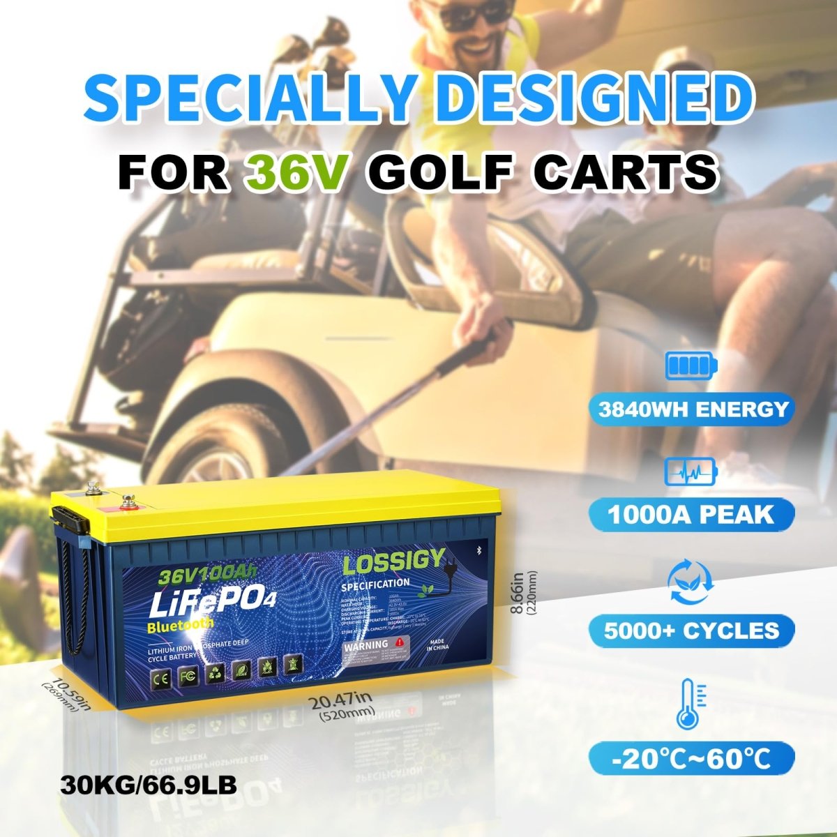 LOSSIGY 48V Lithium Golf Cart Battery with 18A Lithium Charger, 48 Volt 100Ah LiFePO4 Battery, Built in 200A Bluetooth BMS & LCD 10.24kW Output, Peak Current 1000A(3 - 5s), Prefect for RV Solar System - Speed of Light Hobbies