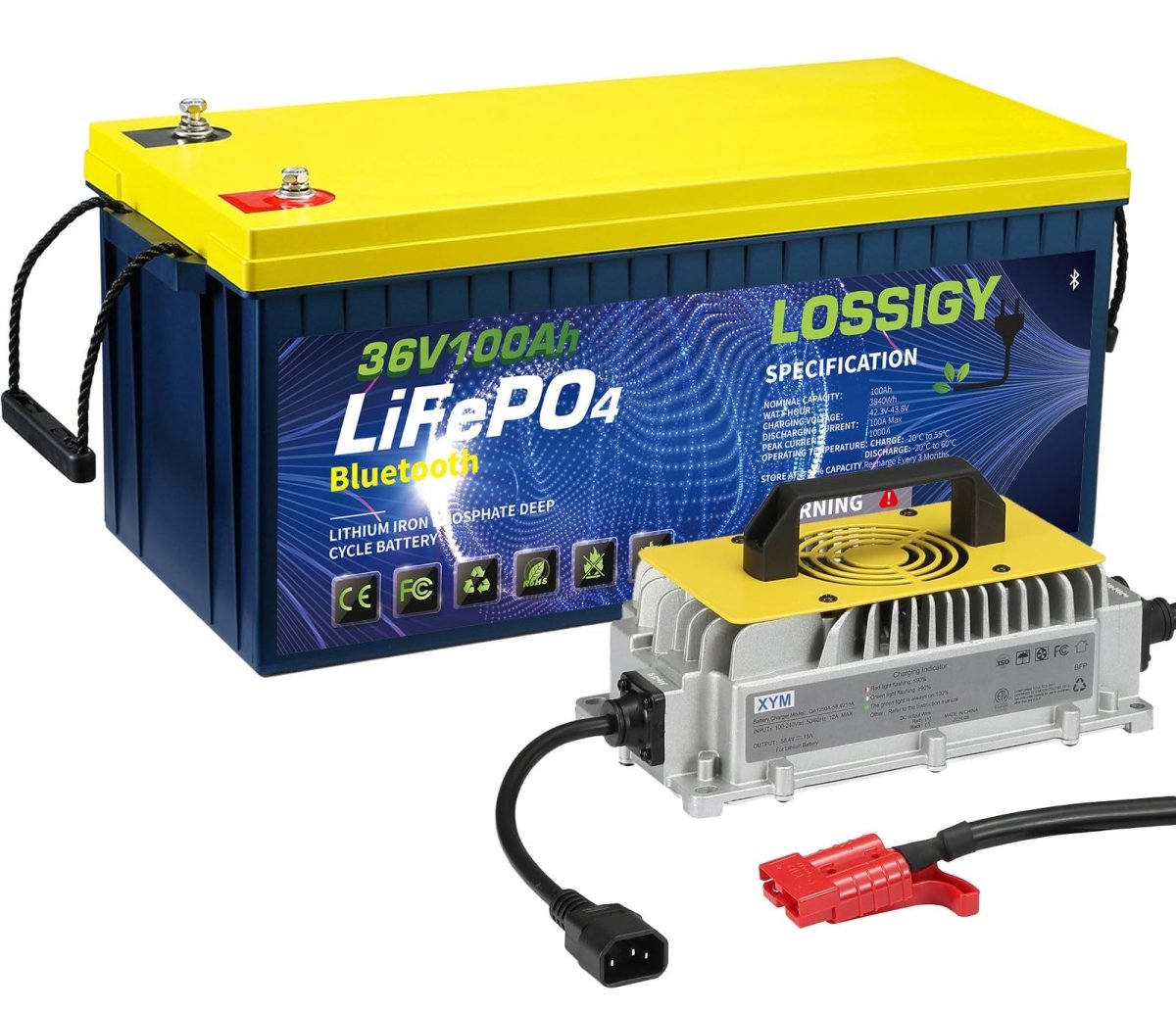LOSSIGY 48V Lithium Golf Cart Battery with 18A Lithium Charger, 48 Volt 100Ah LiFePO4 Battery, Built in 200A Bluetooth BMS & LCD 10.24kW Output, Peak Current 1000A(3 - 5s), Prefect for RV Solar System - Speed of Light Hobbies
