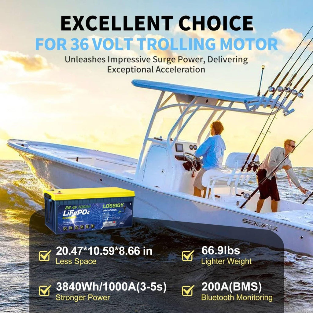 LOSSIGY 48V Lithium Golf Cart Battery with 18A Lithium Charger, 48 Volt 100Ah LiFePO4 Battery, Built in 200A Bluetooth BMS & LCD 10.24kW Output, Peak Current 1000A(3 - 5s), Prefect for RV Solar System - Speed of Light Hobbies