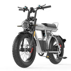 Off - road e - bike Equipped with super motor 1500W 60V27.5AH lithium battery 20"*5.0 fat tires Specially suitable for touring, sand, snow, mountains and other adventurous places. - Speed of Light Hobbies