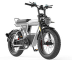 Off - road e - bike Equipped with super motor 1500W 60V27.5AH lithium battery 20"*5.0 fat tires Specially suitable for touring, sand, snow, mountains and other adventurous places. - Speed of Light Hobbies