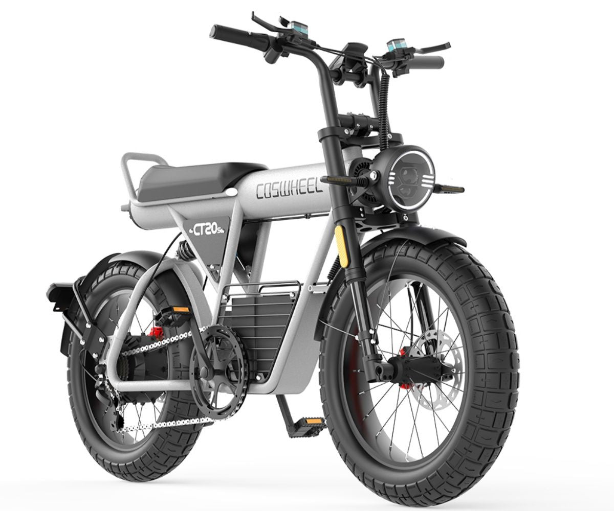Off - road e - bike Equipped with super motor 1500W 60V27.5AH lithium battery 20"*5.0 fat tires Specially suitable for touring, sand, snow, mountains and other adventurous places. - Speed of Light Hobbies